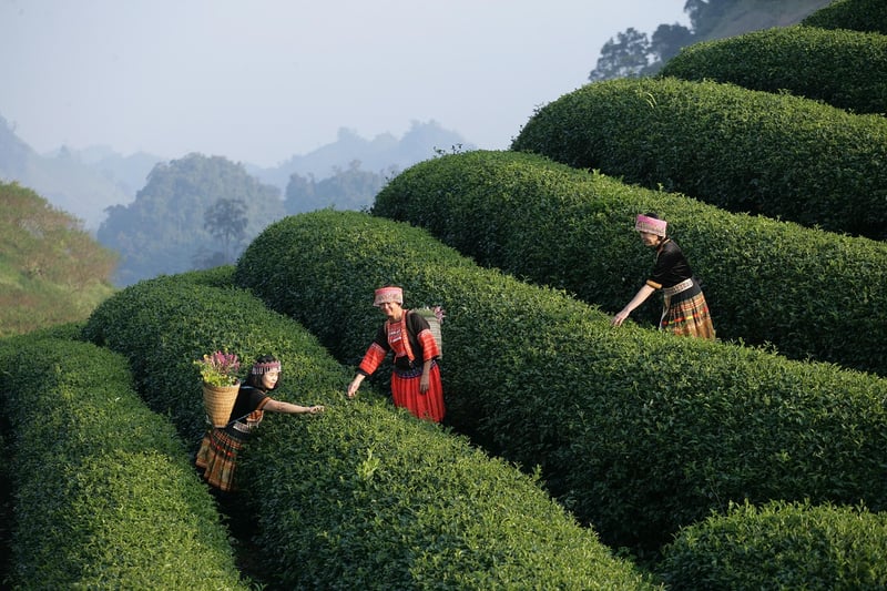 Exquisite Dining Experiences